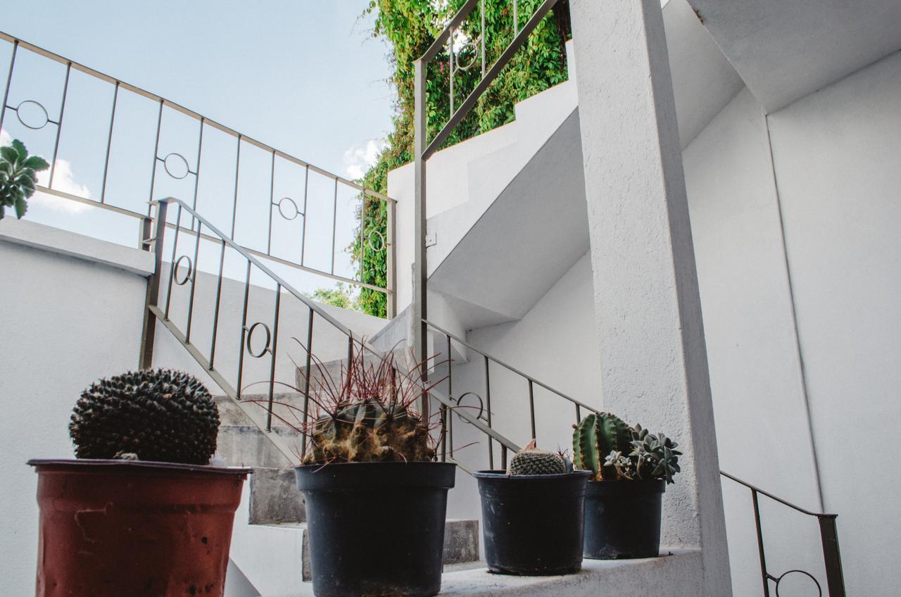 Hotel Casa Mariel à San Luis Potosí Extérieur photo